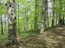 11.05-12.05.2019 - Обновяване на маршрутите в Троянска планина