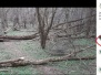 12.03.2020 Плевен, Кайлъка - х.Среброструй - х-л Орбита - Почистване паднали дървета, съвместно със сдружение „Приятели в приключенията”