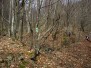 23.03-24.03.2019 – Почистване и маркиране на мар. Твърдица –х.Чумерна + Отчетно общо събрание (х.Чумерна)