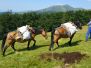 27.07-28.07.2019 - Подновяване на жалонната маркировка между х.Свищиплаз и х.Паскал – съвместно със спортен клуб „Бегач”