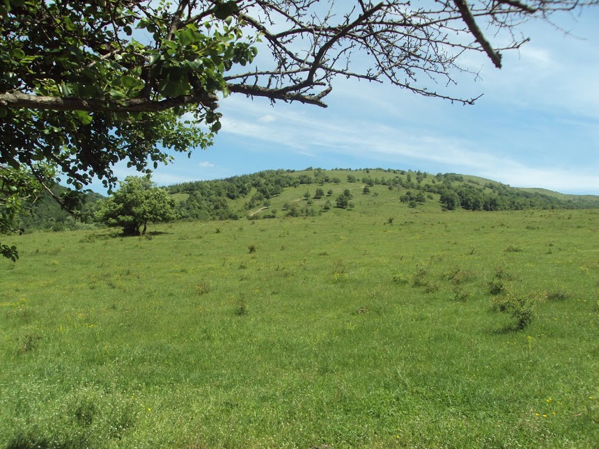 05
