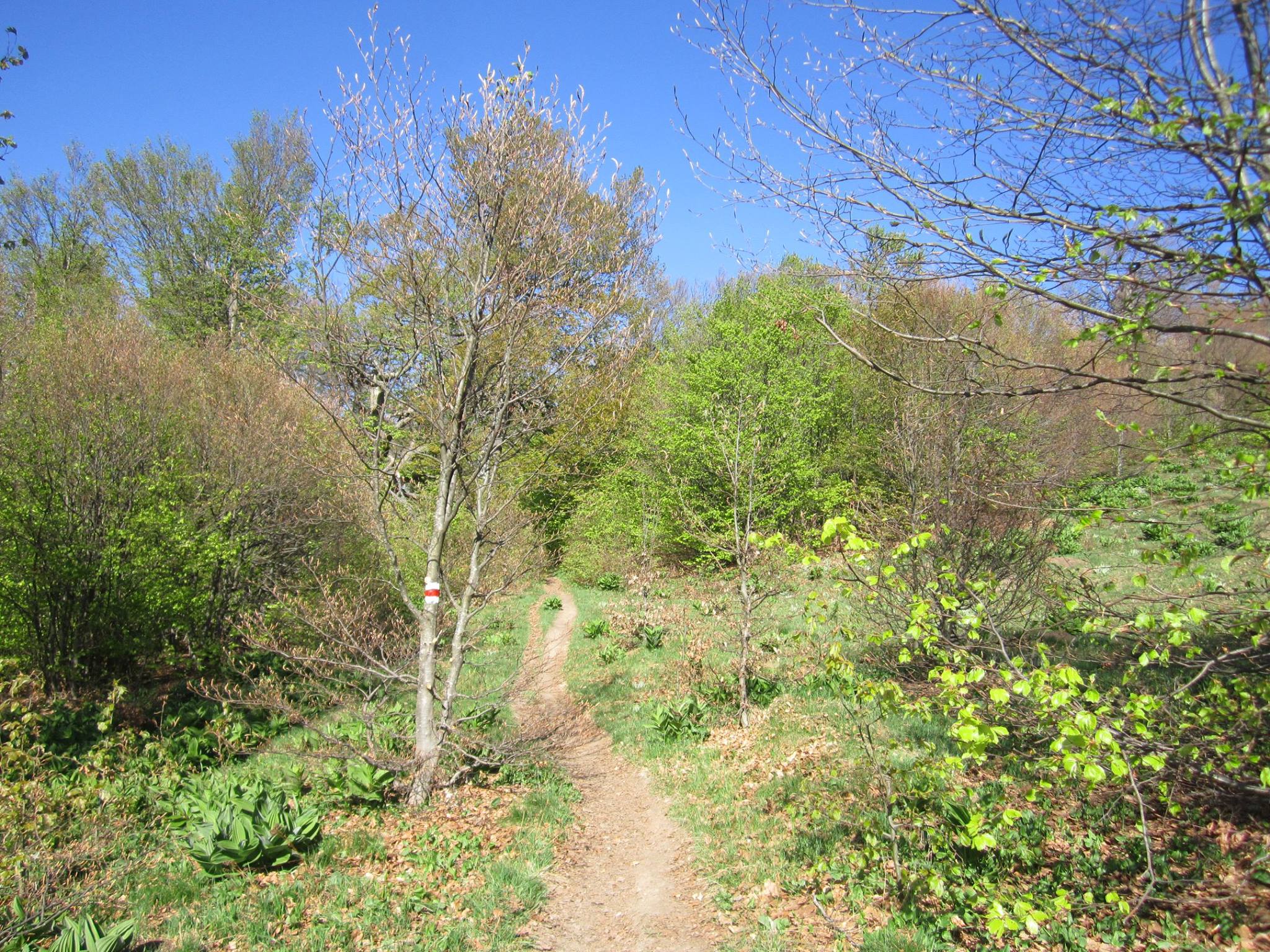 08